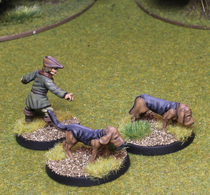 Bloodhounds
